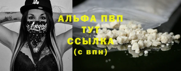 гидра Мегион