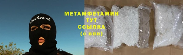 гидра Мегион