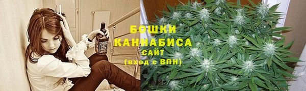 гидра Мегион