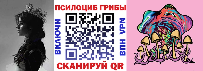 Купить закладки Тольятти Галлюциногенные грибы Psilocybine cubensis