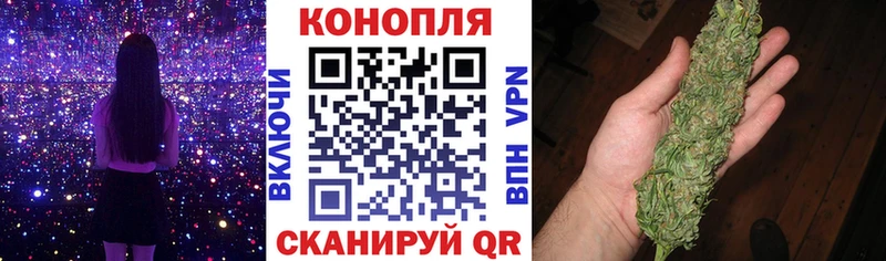 Купить где  Тольятти  Конопля семена 